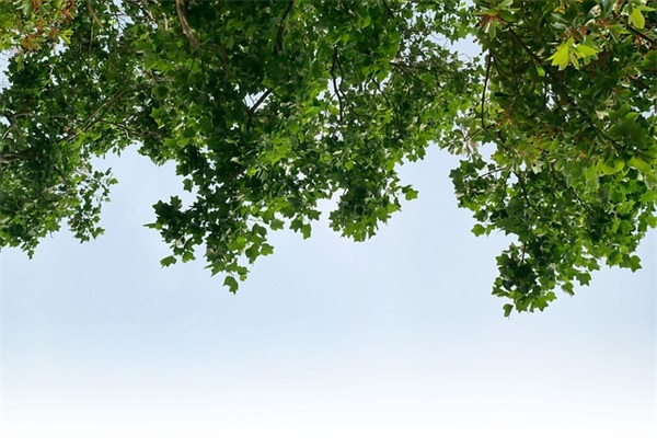 男生两字网名古风