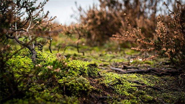 未来路很长的励志句子
